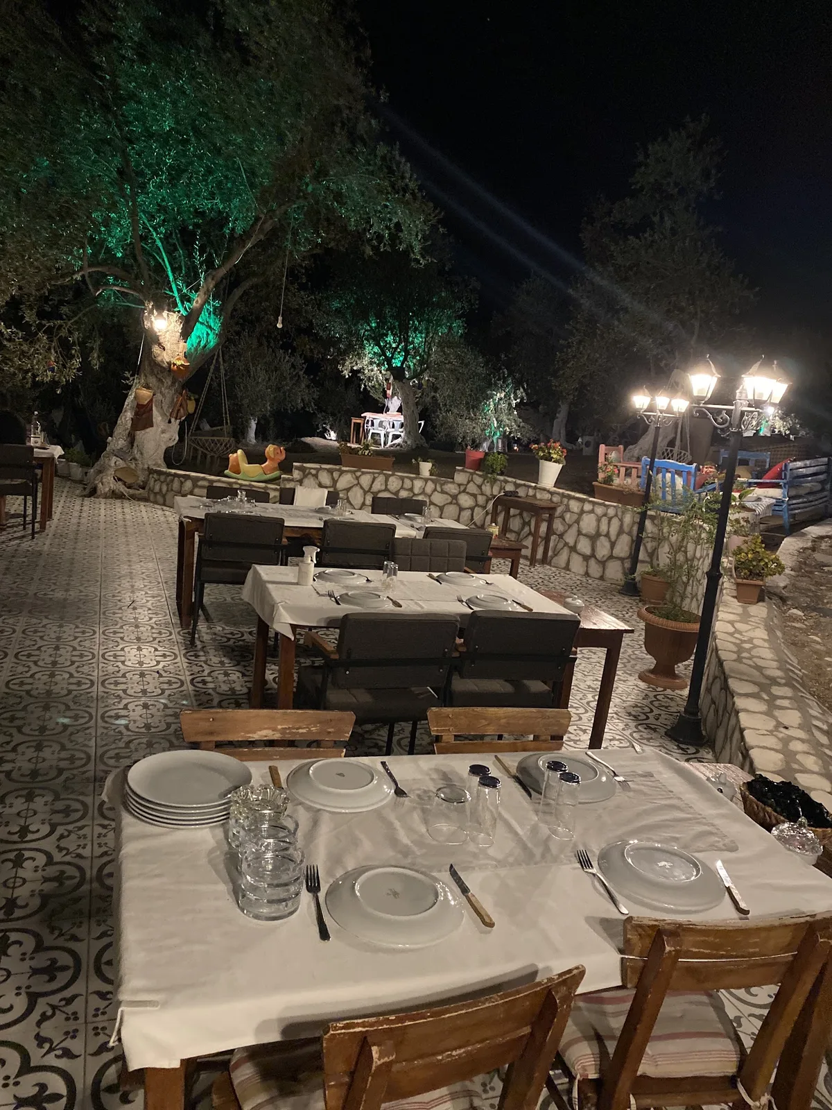 Gece zeytinliğin altında kurulmuş boş masalar, ağaçlar aydınlatılmış
