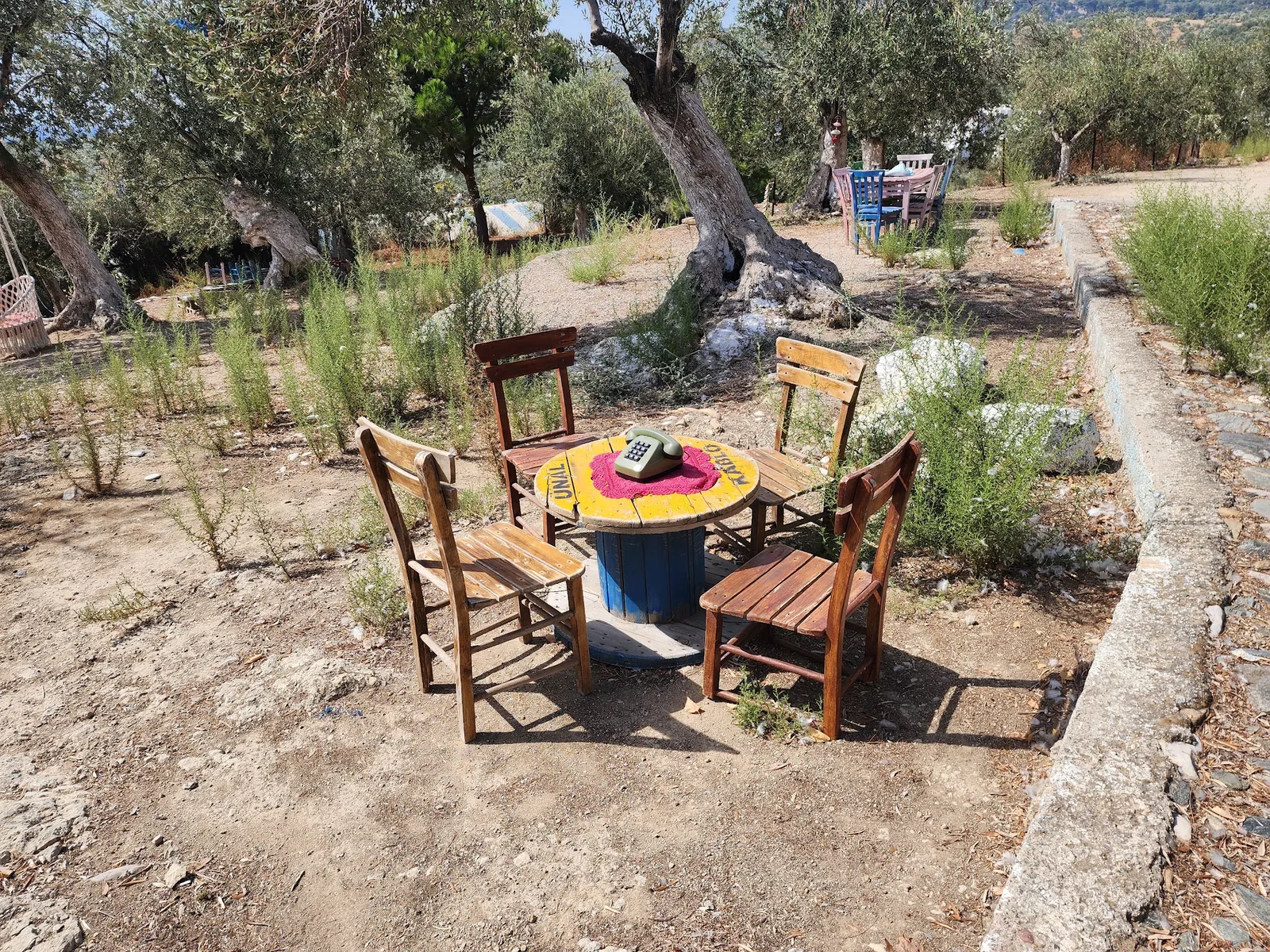 A wooden table and chairs among the olive trees