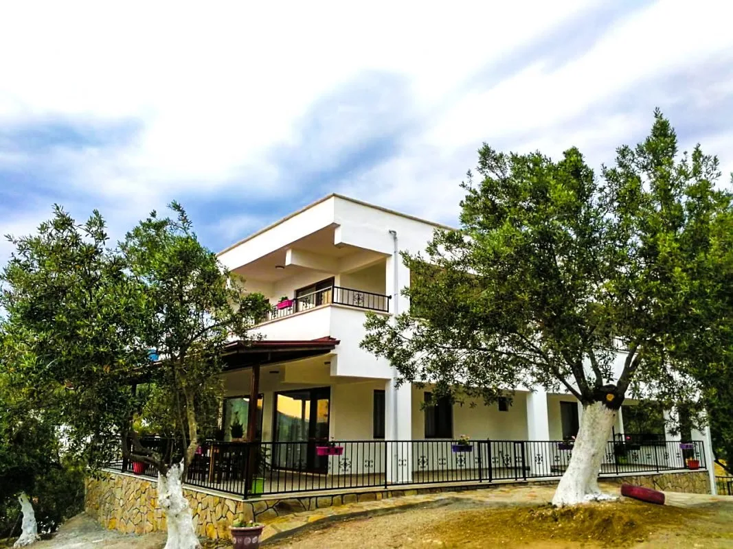 Tatil evinin ön cephesi, zeytin ağaçlarının arasında